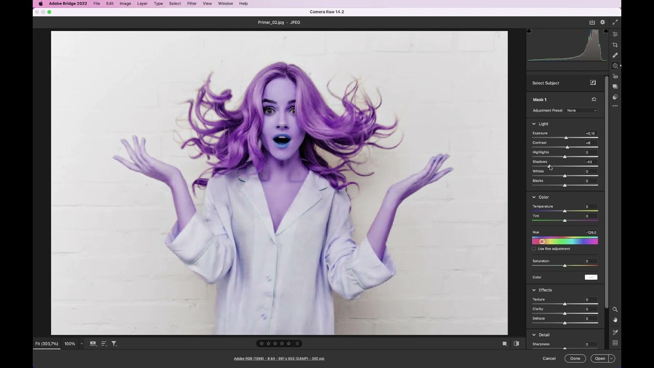 Adobe CameraRaw - Select Subject - Tutorial
