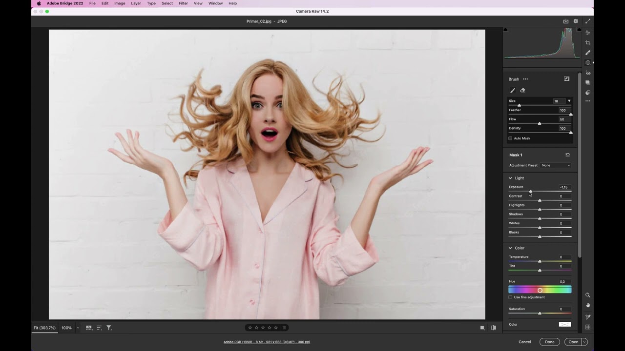 Adobe CameraRaw - Masking - Tutorial