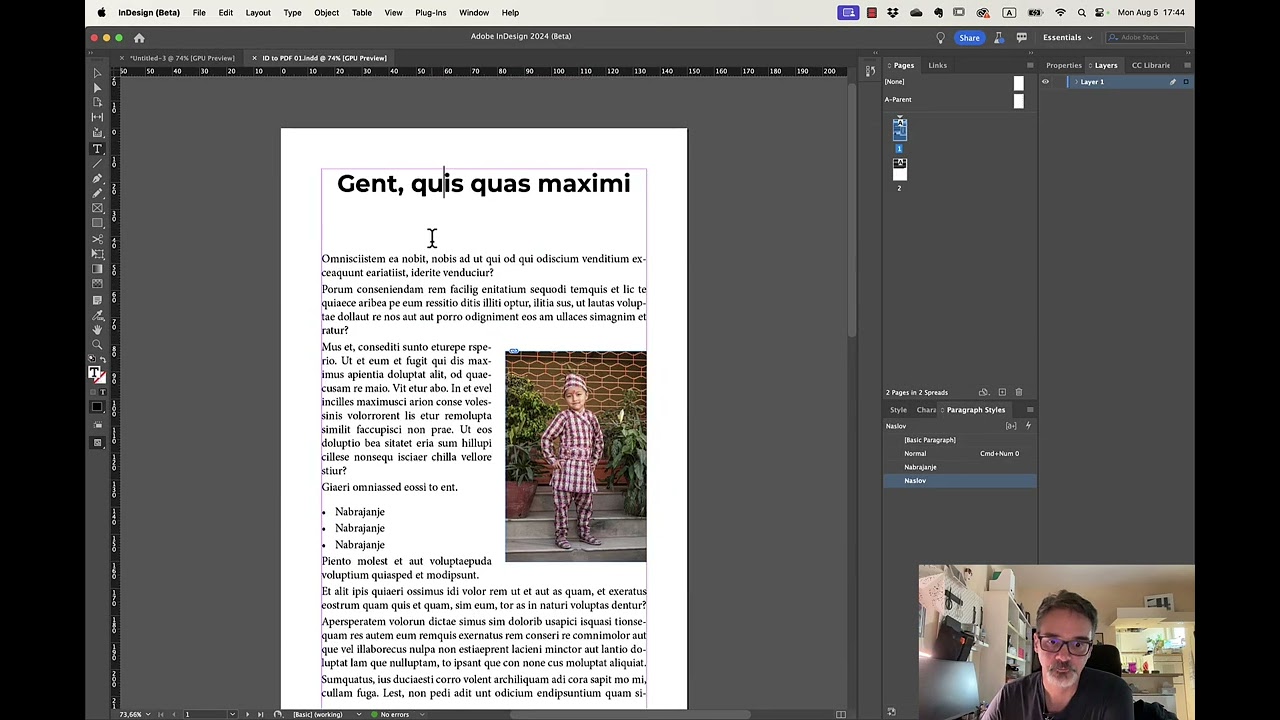 PDF to INDD - InDesign