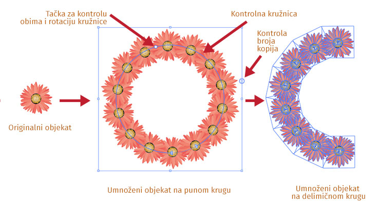 02 repeat radial